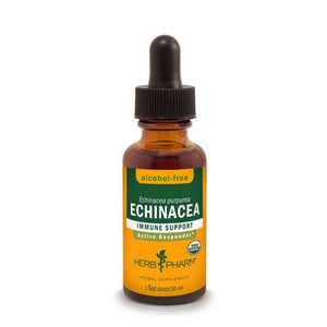 Herb Pharm Golden Echinacea Alcohol Free 1oz - The Oasis of Health
