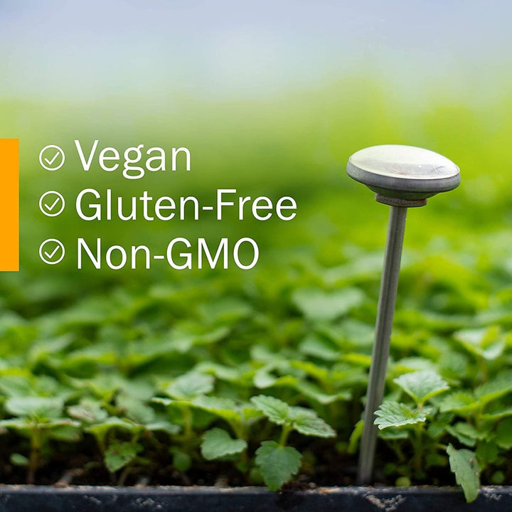 Herb Pharm Goldenrod 4oz - The Oasis of Health