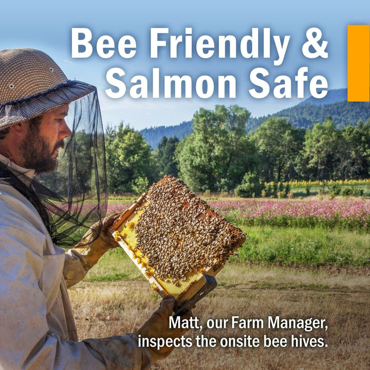 Herb Pharm Goldenseal Extract Alcohol Free 1oz - The Oasis of Health