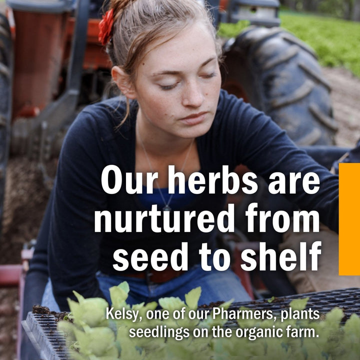 Herb Pharm Goldenseal Extract Alcohol Free 1oz - The Oasis of Health