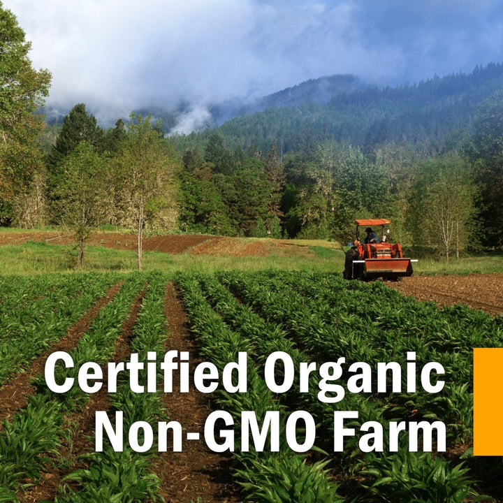 Herb Pharm Goldenseal Extract Alcohol Free 1oz - The Oasis of Health