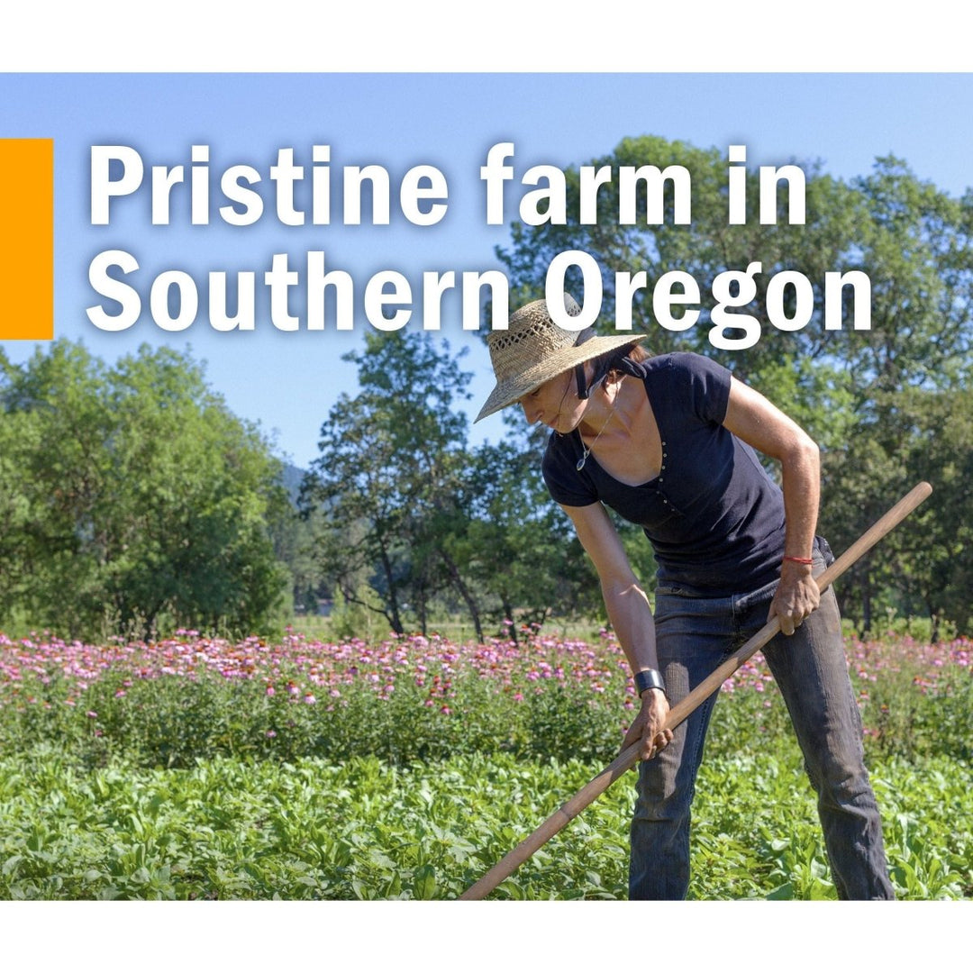 Herb Pharm Gum Guardian 4oz - The Oasis of Health