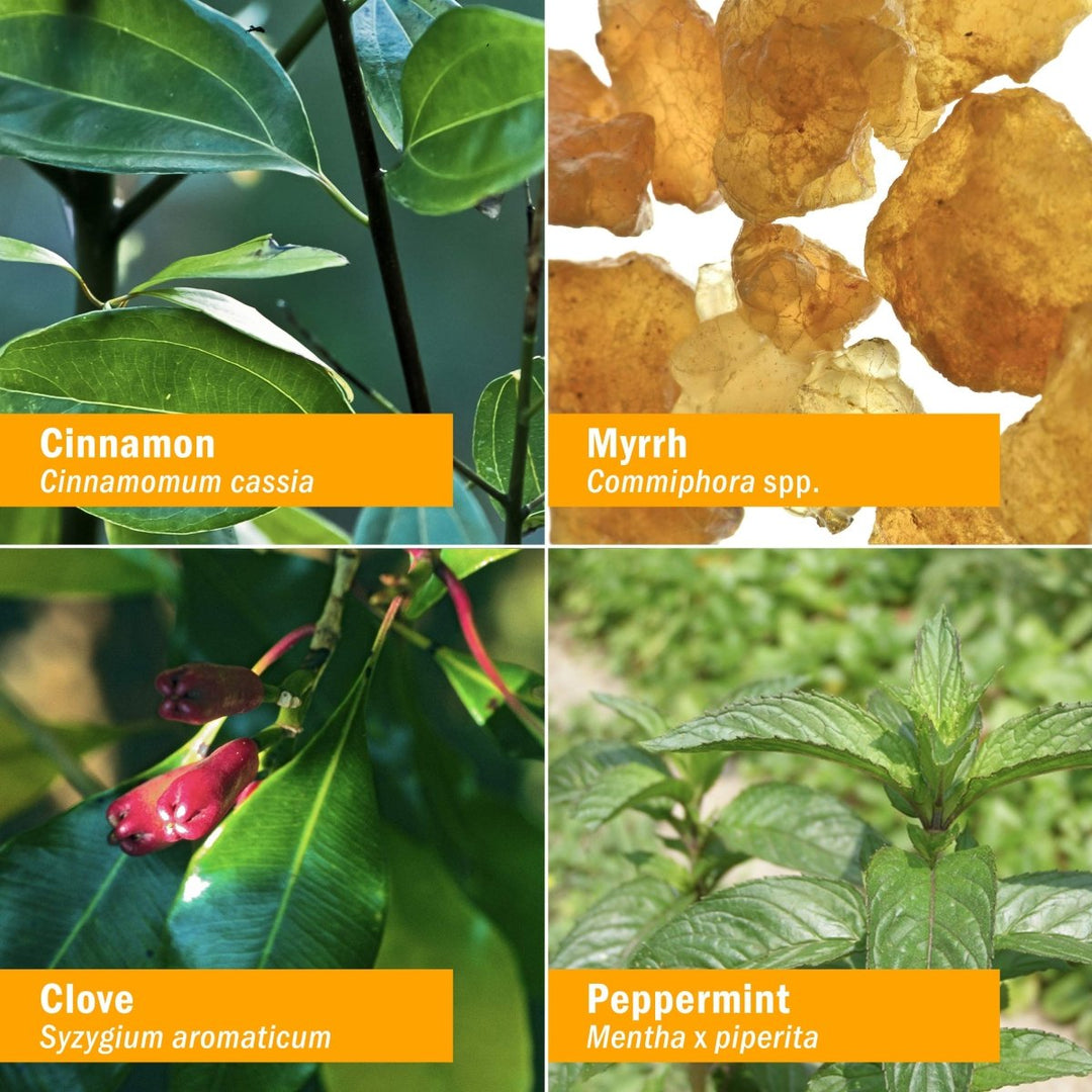 Herb Pharm Gum Guardian 4oz - The Oasis of Health