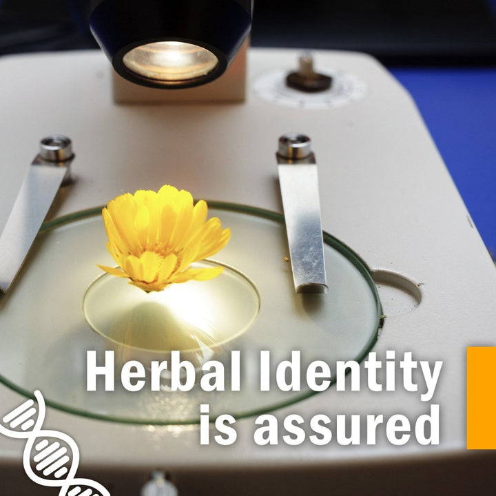 Herb Pharm Gum Guardian 4oz - The Oasis of Health