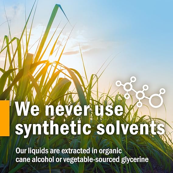 Herb Pharm Muira Puama 1oz - The Oasis of Health