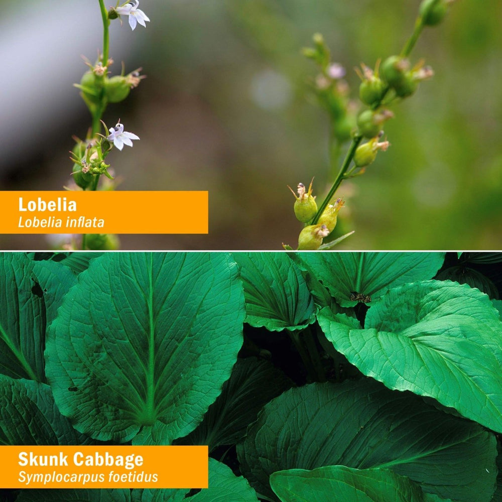 Herb Pharm Muscle Calmer 1oz - The Oasis of Health