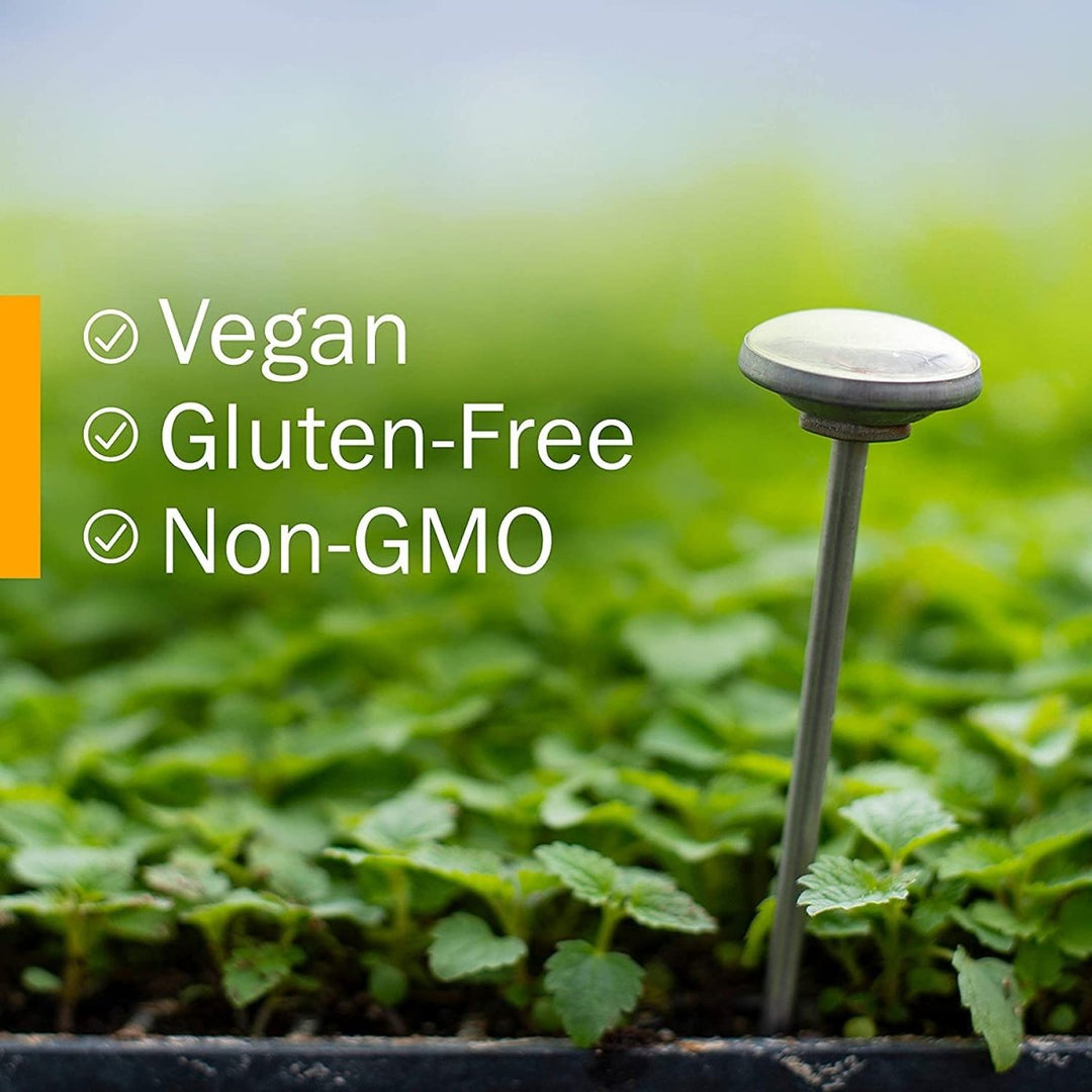 Herb Pharm Muscle Calmer 1oz - The Oasis of Health