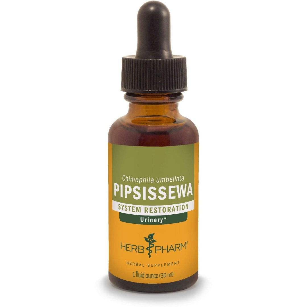 Herb Pharm Pipsissewa Liquid Extract for Urinary System Support - 1 Ounce - The Oasis of Health