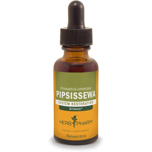 Herb Pharm Pipsissewa Liquid Extract for Urinary System Support - 1 Ounce - The Oasis of Health