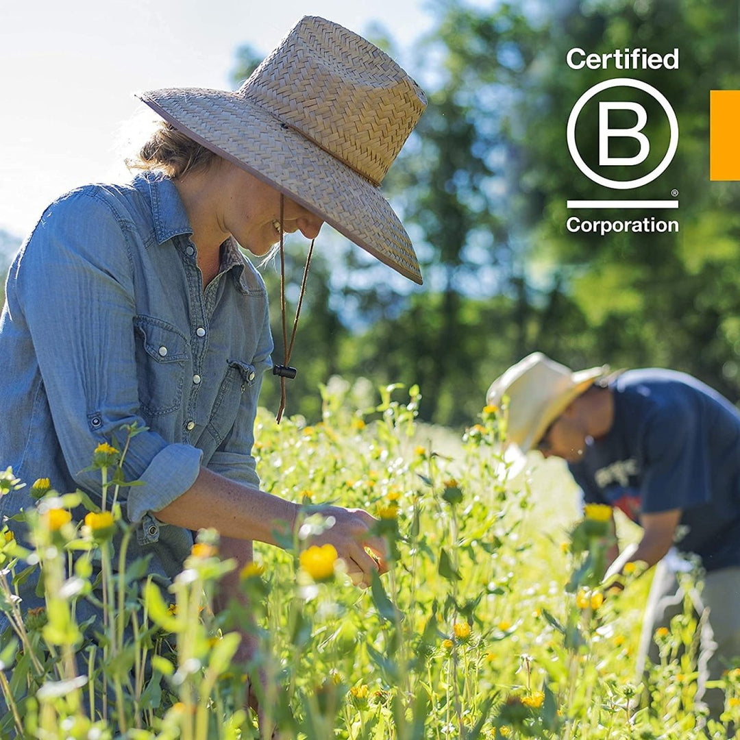 Herb Pharm Red Clover 4 oz - The Oasis of Health