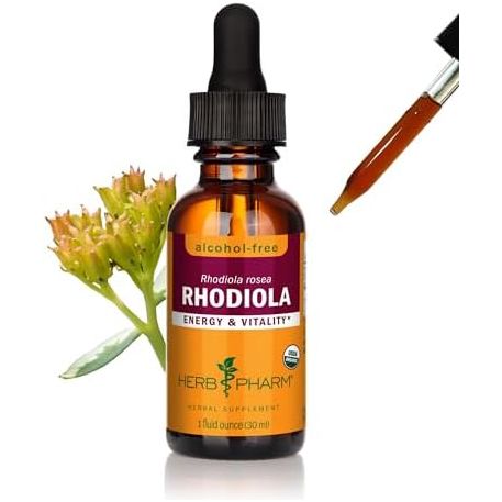 Herb Pharm Rhodiola Alcohol Free 1oz - The Oasis of Health