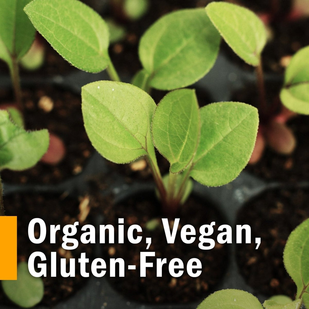 Herb Pharm Stress Manager 4 oz - The Oasis of Health