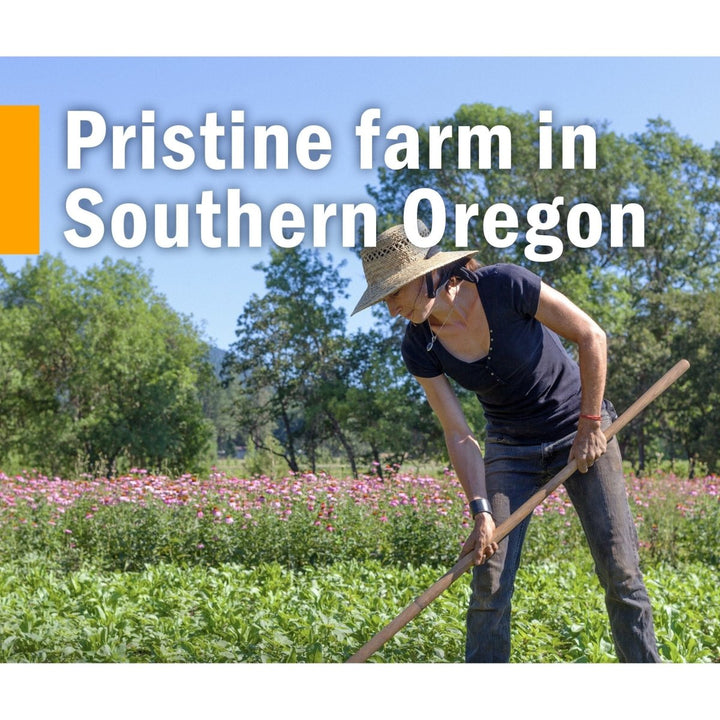 Herb Pharm Stress Manager 4 oz - The Oasis of Health