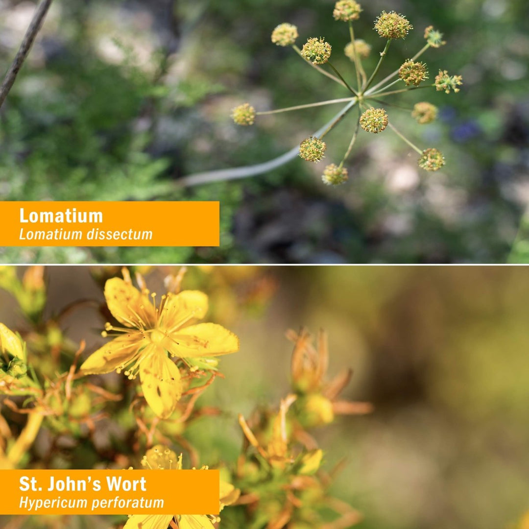 Herb Pharm Vi - Be - Gone (Formerly: Virattack) 4oz - The Oasis of Health