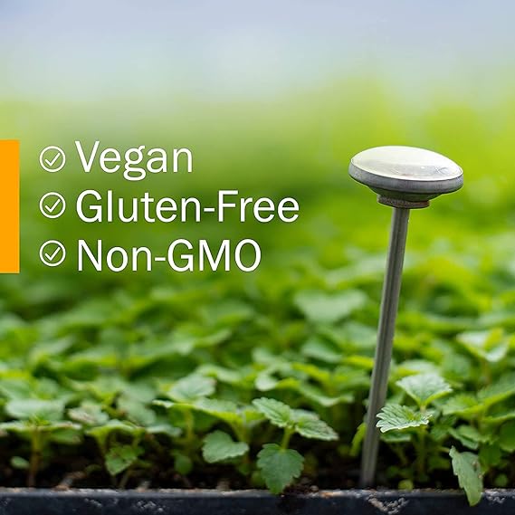 Herb Pharm Yellow Dock 4oz - The Oasis of Health