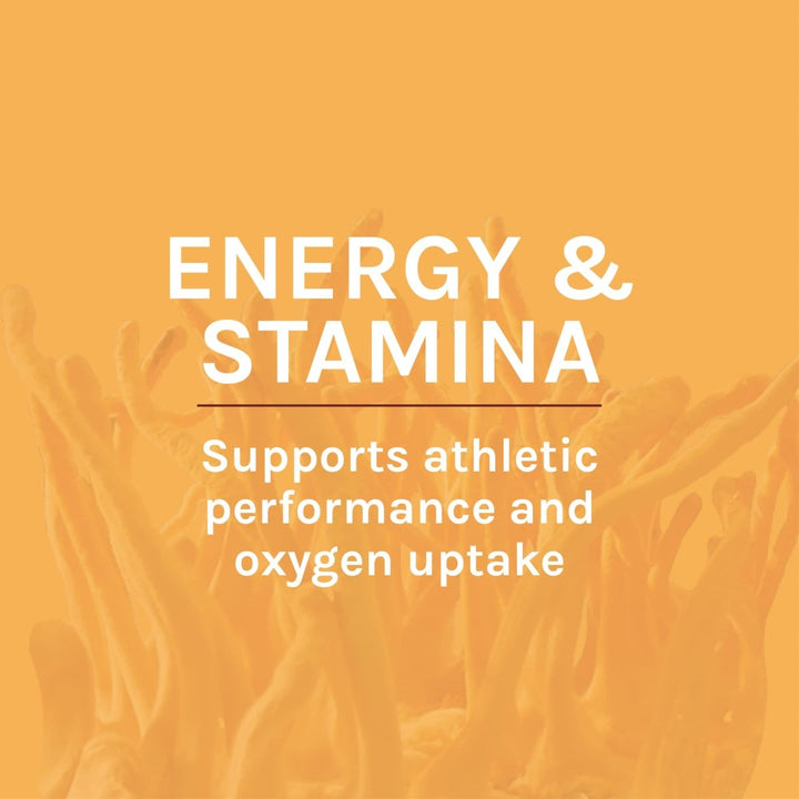 Host Defense Cordyceps Extract 2oz - The Oasis of Health