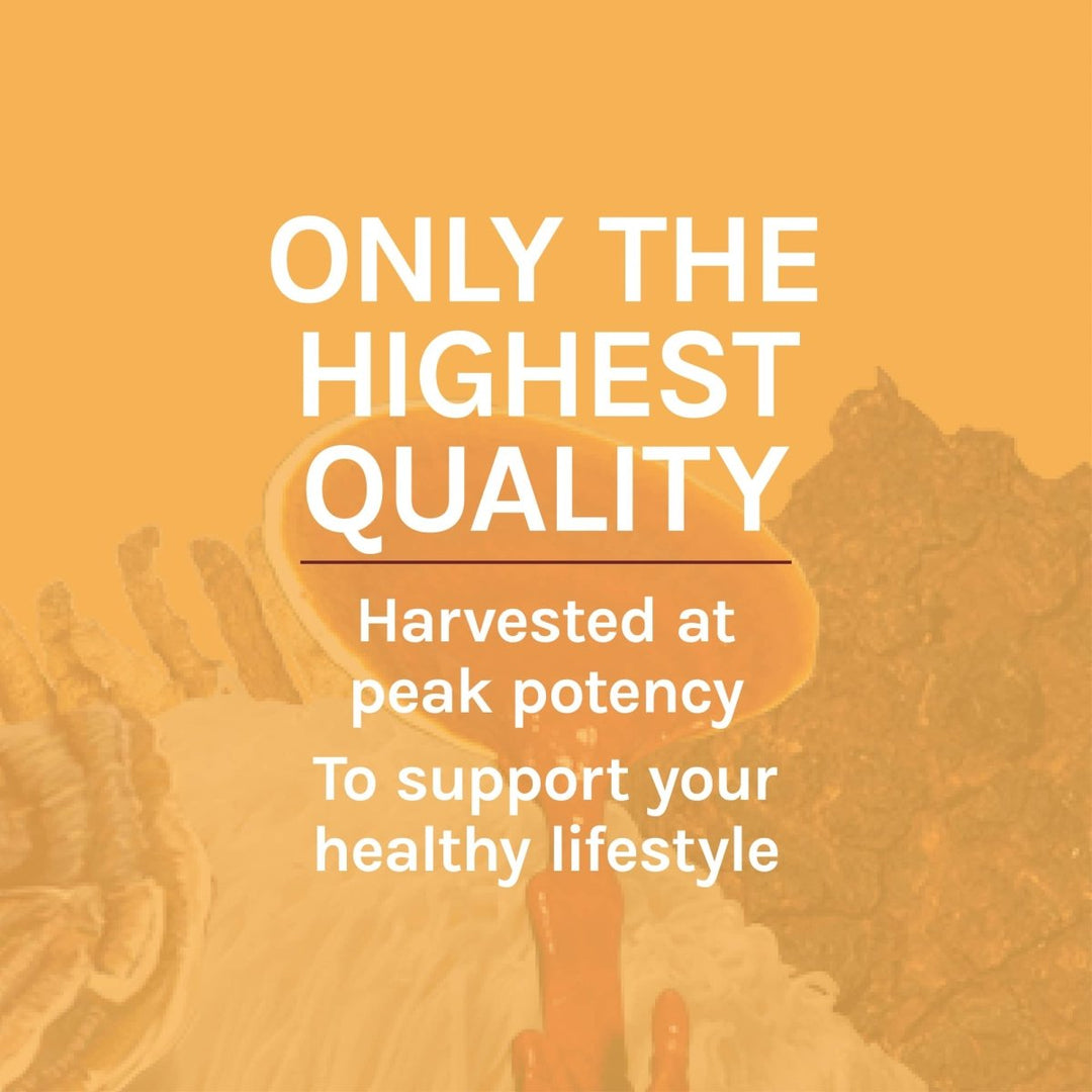 Host Defense Cordyceps Extract 2oz - The Oasis of Health