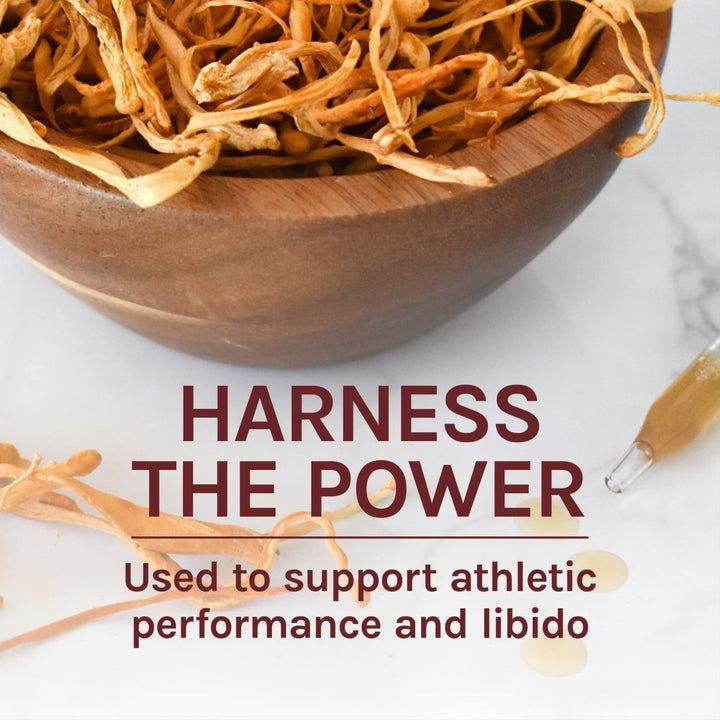 Host Defense Cordyceps Extract 2oz - The Oasis of Health