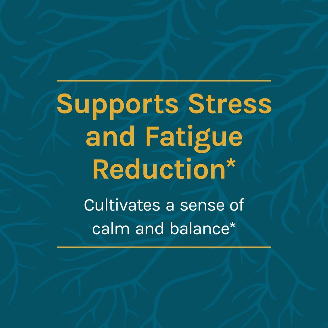 Host Defense Cordychi Extract 2oz - The Oasis of Health