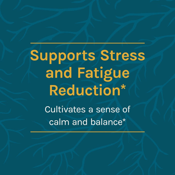 Host Defense Cordychi Extract 2oz - The Oasis of Health