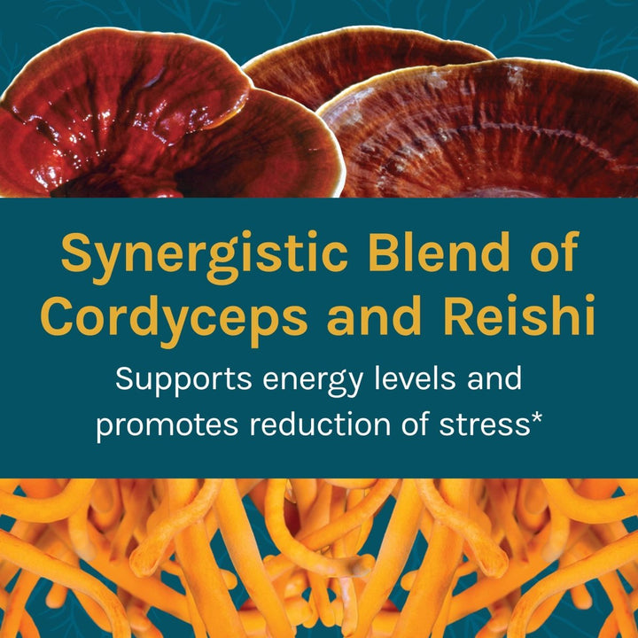 Host Defense Cordychi Extract 2oz - The Oasis of Health