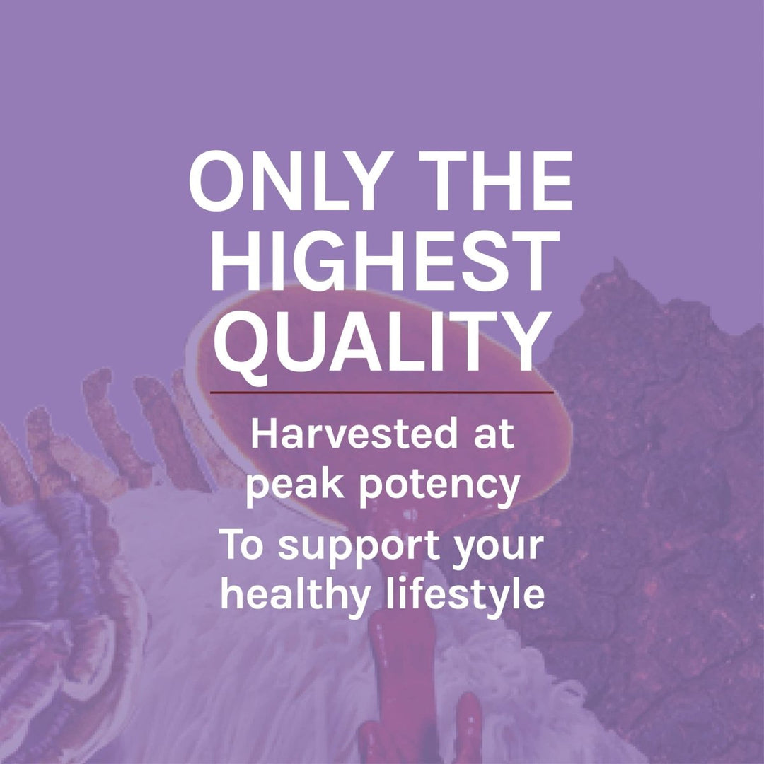 Host Defense Lion's Mane 2oz - The Oasis of Health