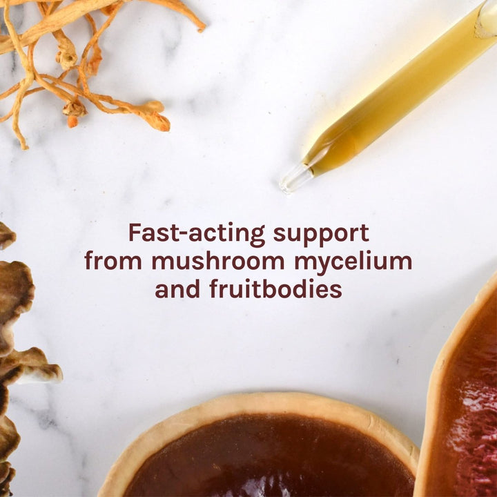 Host Defense Mycommunity Extract 4oz - The Oasis of Health