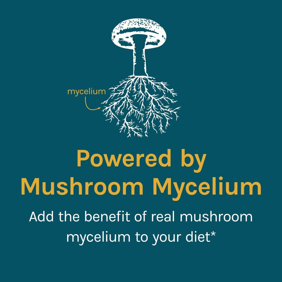 Host Defense Reishi 120 Vcaps - The Oasis of Health