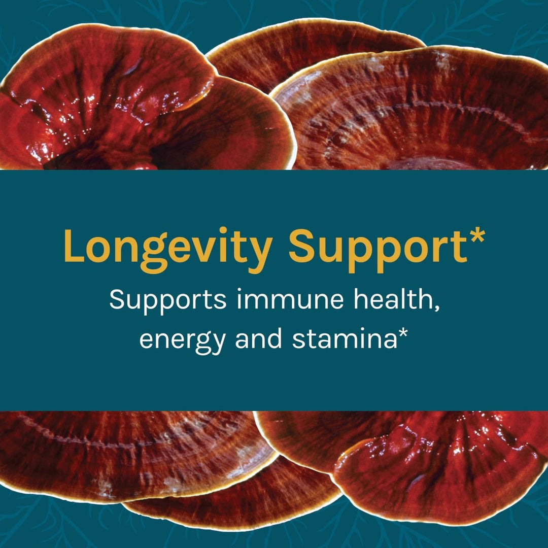 Host Defense Reishi 120 Vcaps - The Oasis of Health