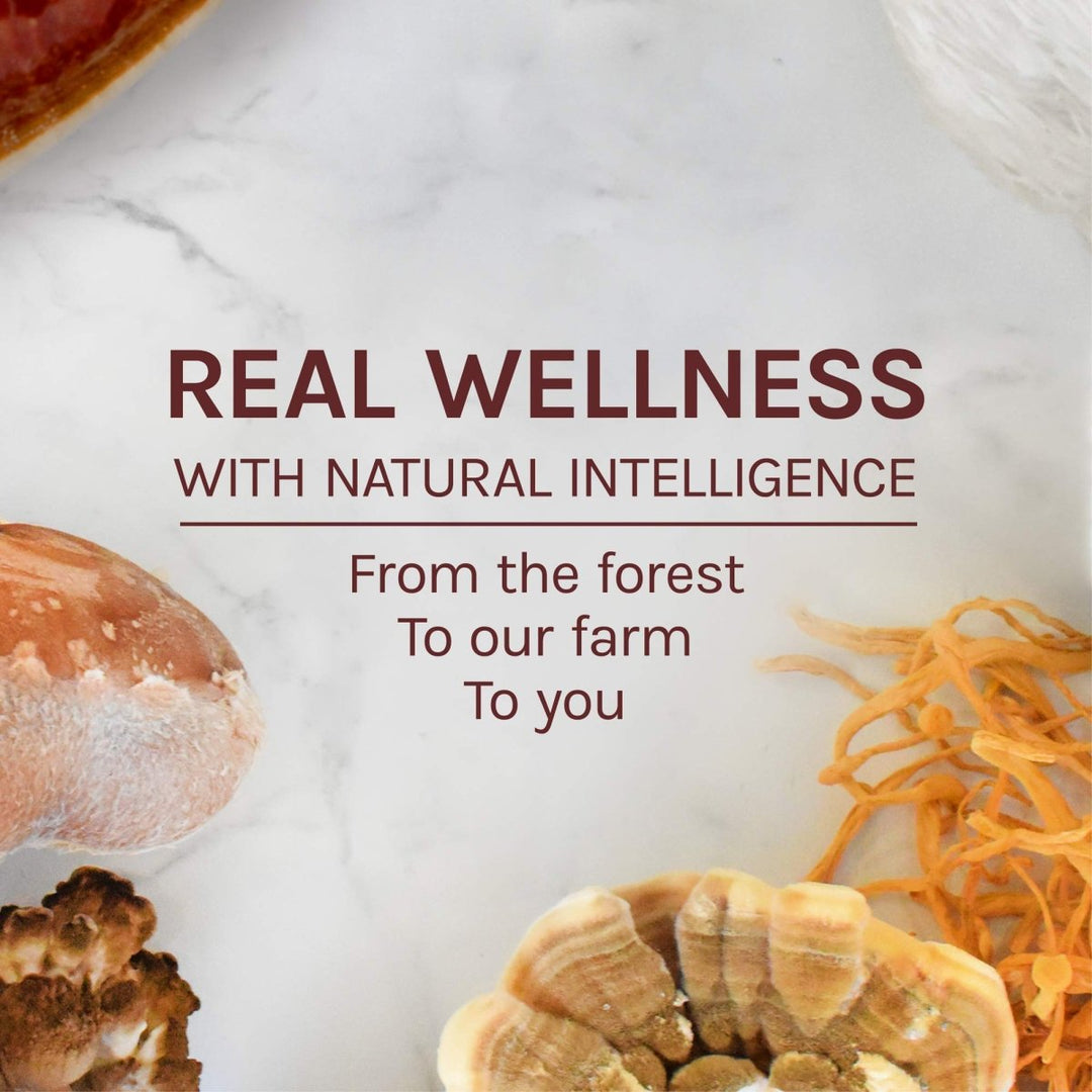 Host Defense Turkey Tail 120 Vcaps - The Oasis of Health