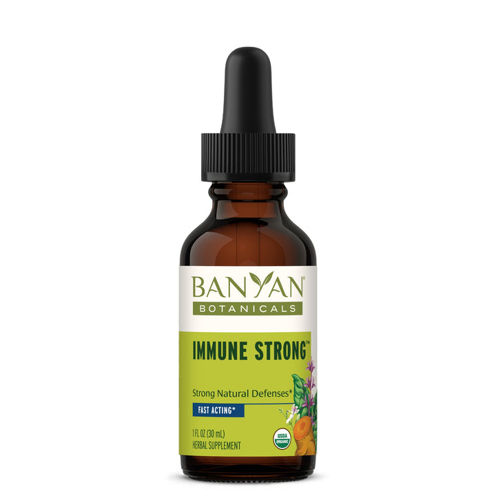 Banyan Botanicals Ginger 1 fl oz