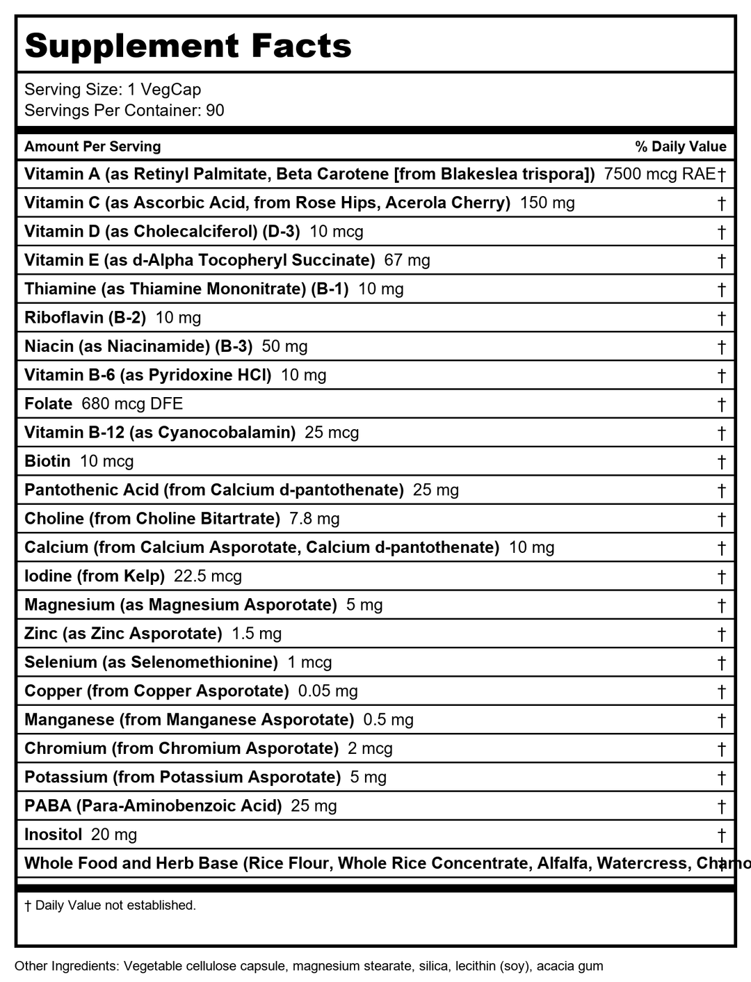 SOLARAY Once Daily High Energy Multivitamin 90 VegCaps  47306 - Supplement Facts panel