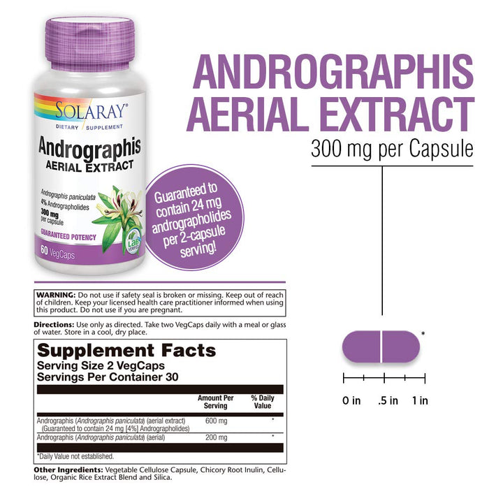 Solaray Andrographis Aerial Extract 600 mg - Immune &amp; Respiratory Support - 60 VegCaps - Supplement Facts panel