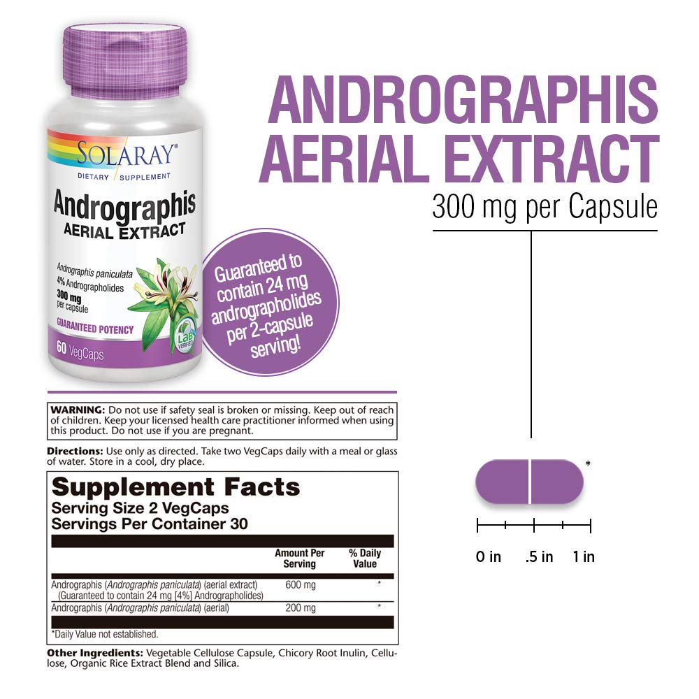 Solaray Andrographis Aerial Extract 600 mg - Immune &amp; Respiratory Support - 60 VegCaps - Supplement Facts panel