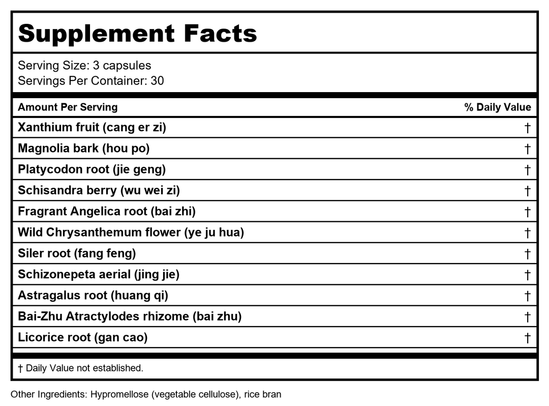 Health Concerns - Xanthium Relieve Surface - 90 Count - Supplement Facts panel