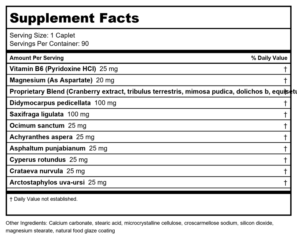 Ayush Herbs SupraMag 90 Vcaps - Supplement Facts panel
