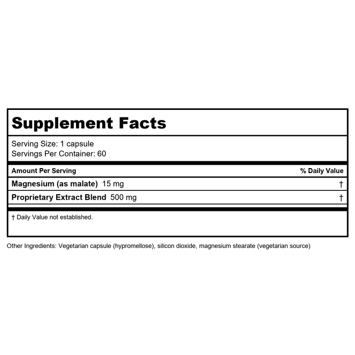Ayush Herbs AP Traveler 60 Vcaps - Supplement Facts panel