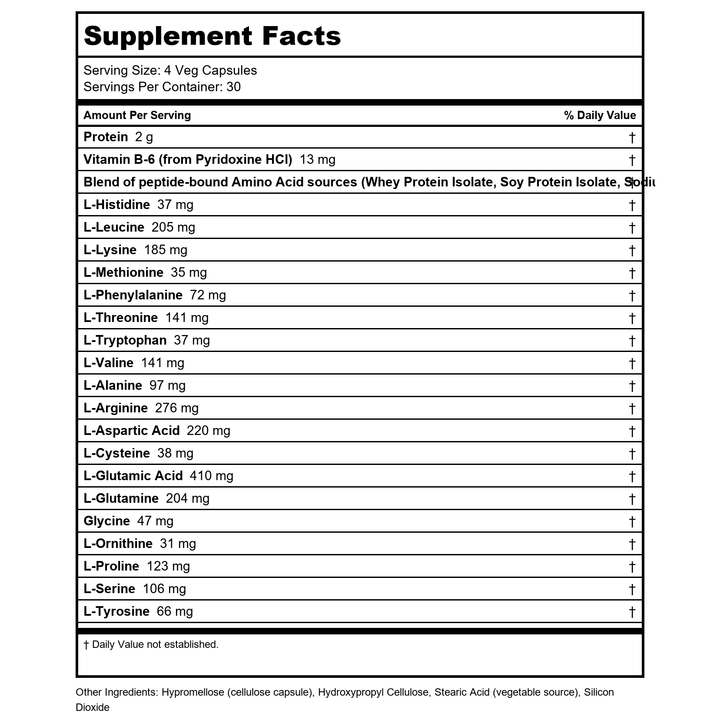 Now Sports Amino Complete 360 Vcaps - 0013 - 6 Pack - Supplement Facts panel