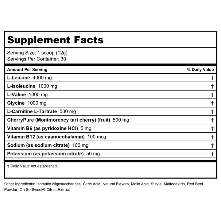 NF Sports - Natural Amino Post-Workout Recovery Drink Fruit Punch - 12.7 oz. - Supplement Facts panel