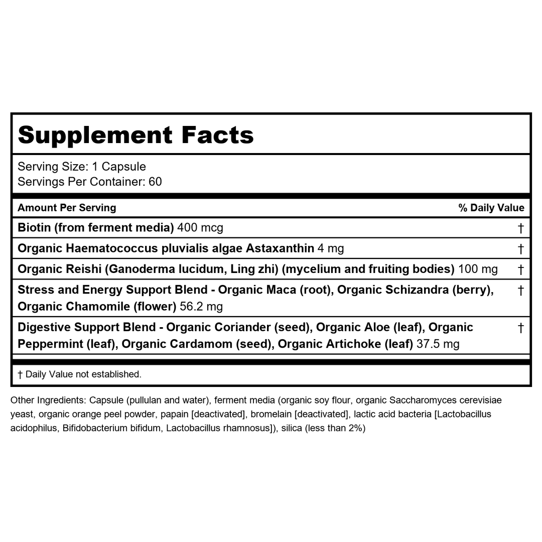Chapter Ingridient New Chapter Hair Skin and Nails 60 Capsules | The Oasis of Health
