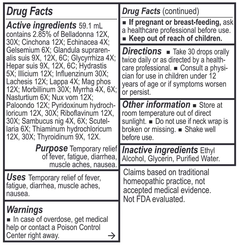 Energetix - Viru-Chord Homeopathic - 2 oz. - Supplement Facts / Ingredients panel