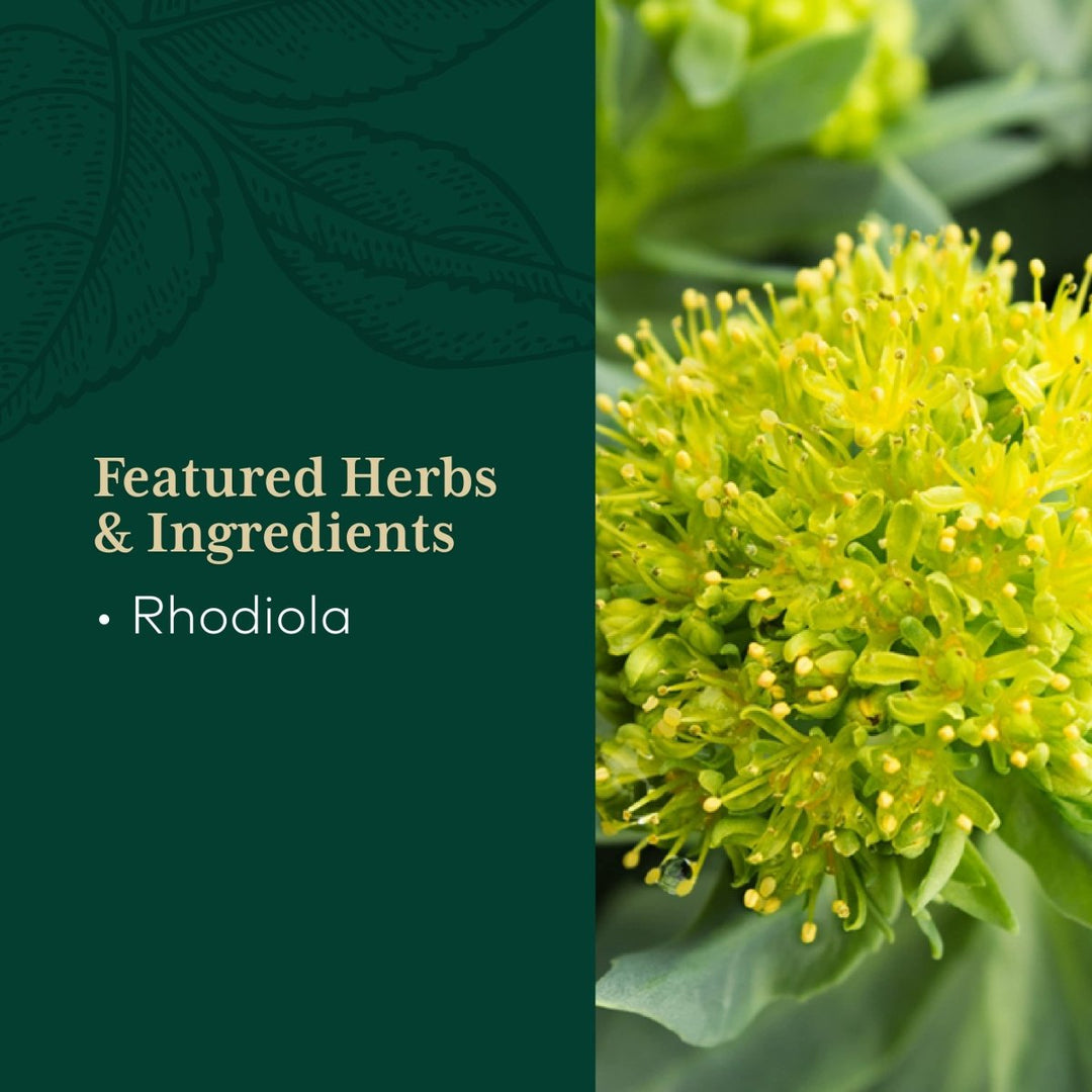 Introducing Gaia PRO Rhodiola - Your Key to Adaptogen Stress Support & Relief - The Oasis of Health