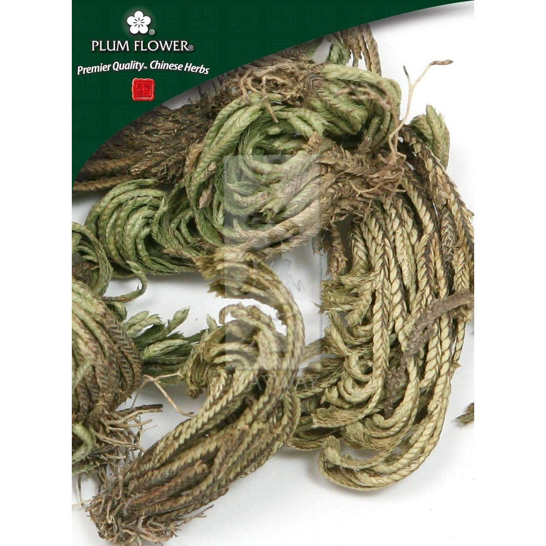 Juan Bai, unsulfured Selaginella involvens herb Plum Flower500 g/bag - The Oasis of Health