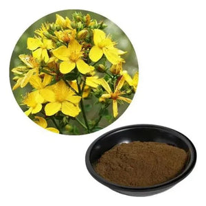 Lian Qiao, extract powder - The Oasis of Health