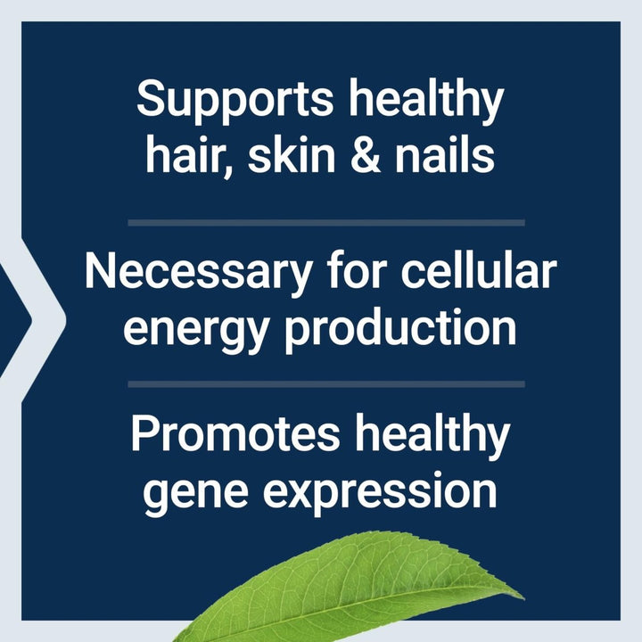 Life Extension Biotin 600 mcg Vitamin B7 Support Supplement for Beautiful Hair, Nails & Beyond � Gluten - Free, Non - GMO - 100 Capsules - The Oasis of Health