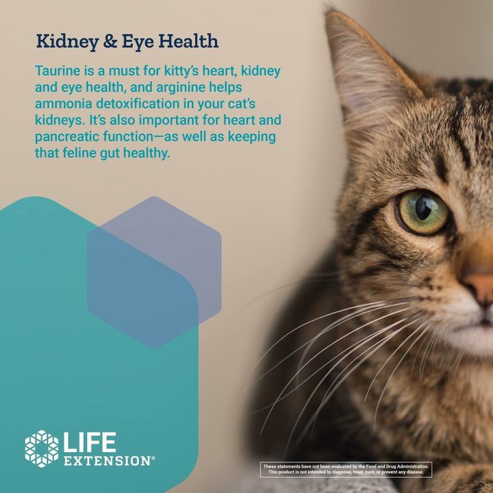 Life Extension Cat Mix ? For Heart, Kidney & Pancreatic Function + Gut Health ?with Vitamins & Essential Nutrients - Formula For Kitty - Gluten - Free, Non - GMO ? Net Wt.100 Grams (85 Servings) - The Oasis of Health