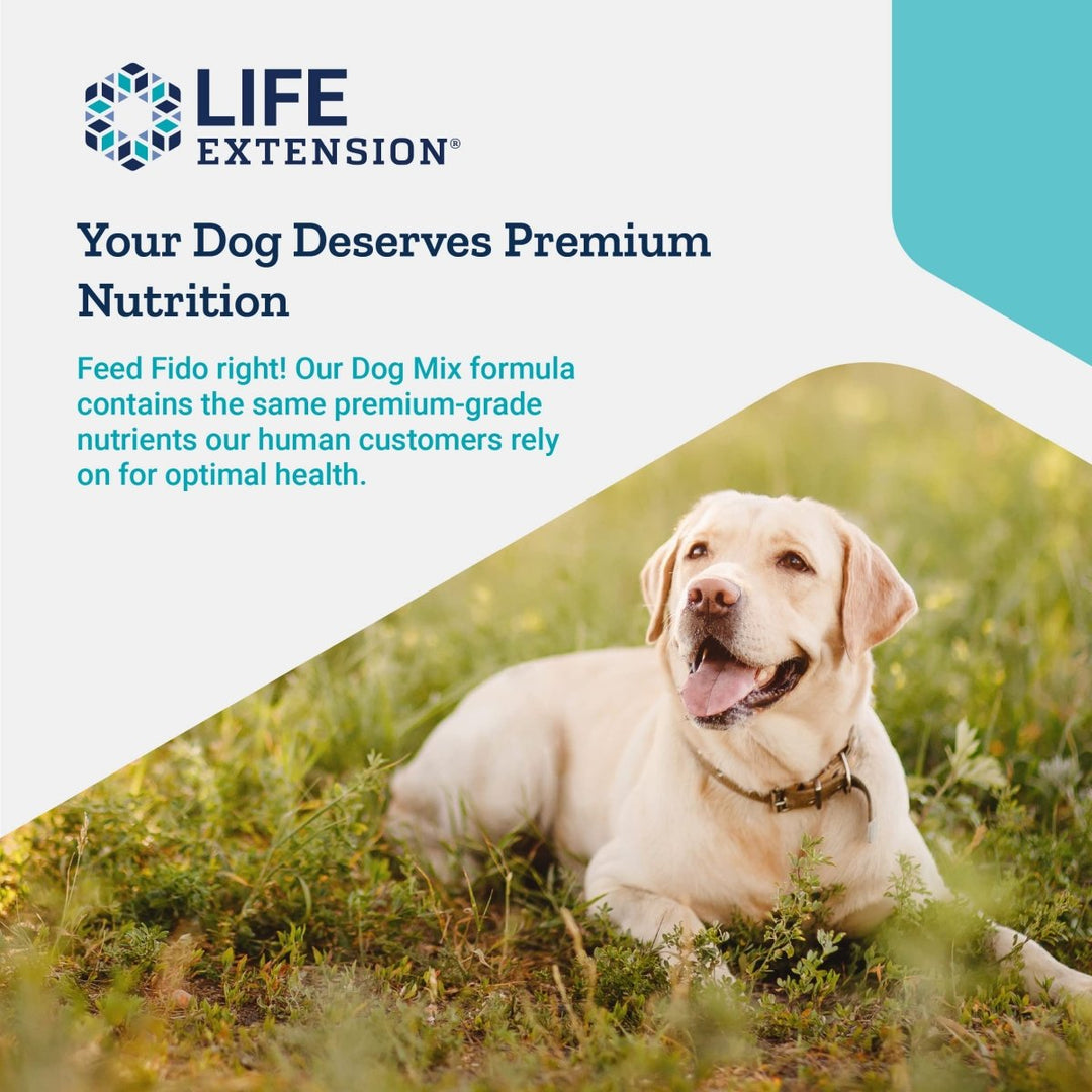 Life Extension Dog Mix - Daily Nutrition Care Supplement Powder for Your Canine Pet - Advanced Formula with Vitamins, Probiotics &amp; Essential Fatty Acids - Gluten - Free, Non - GMO ? 100 g, 60 Servings - The Oasis of Health