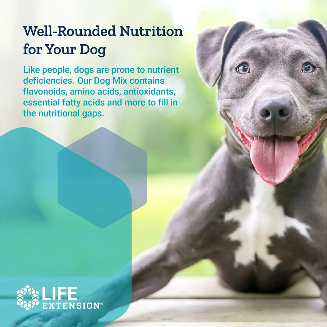 Life Extension Dog Mix - Daily Nutrition Care Supplement Powder for Your Canine Pet - Advanced Formula with Vitamins, Probiotics &amp; Essential Fatty Acids - Gluten - Free, Non - GMO ? 100 g, 60 Servings - The Oasis of Health