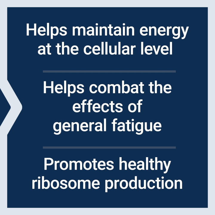 Life Extension Energy Renew, French Oak Extract, Combat General Fatigue & Maintain Energy Levels, Non - GMO, Gluten - Free, Vegetarian, 30 Capsules - The Oasis of Health