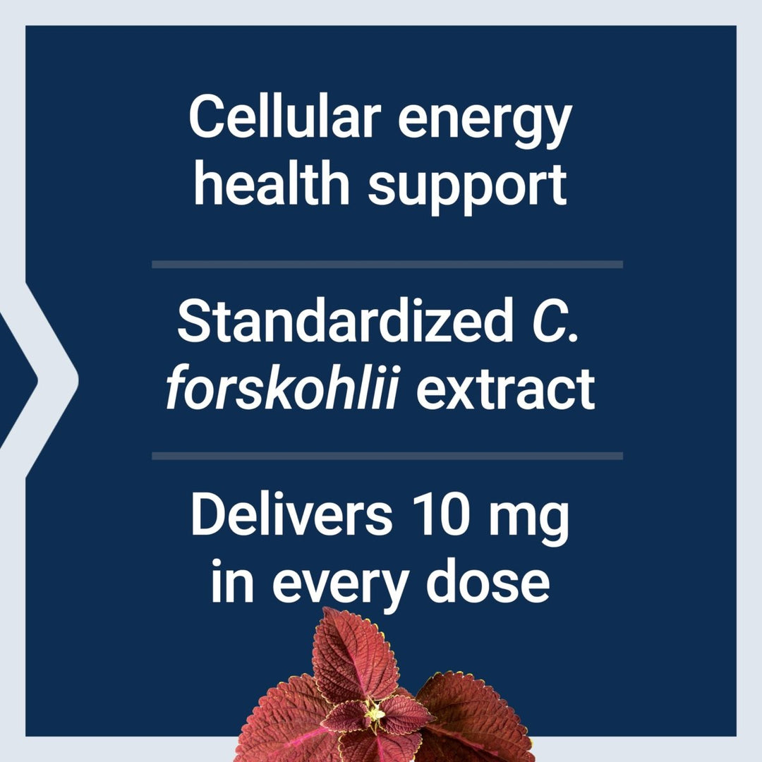 Life Extension Forskolin, Coleus forskohlii, Cellular Energy Health Support Supplement, 10 mg, standardized Extract, Non - GMO, Gluten - Free, Vegetarian, 60 Capsules, 1 - 2 Month Supply - The Oasis of Health